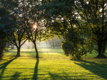 10fagagna©f.gallina2013-5952 